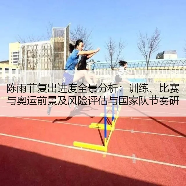 陈雨菲复出进度全景分析：训练、比赛与奥运前景及风险评估与国家队节奏研判